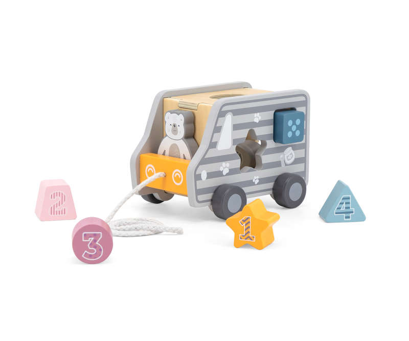Pull-Along Shape Sorting Truck (RGS44041)
