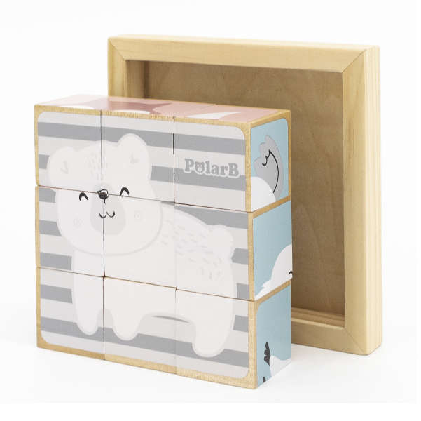 Six-Sided Puzzle Blocks (RGS44024)