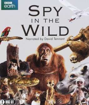 Spy in the Wild - Series 1 (Blu Ray)