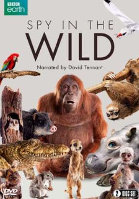 Spy in the Wild - Series 1 (DVD)
