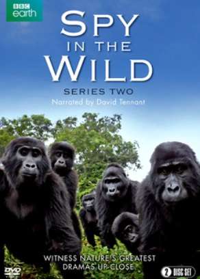 Spy in the Wild - Series 2 (DVD)