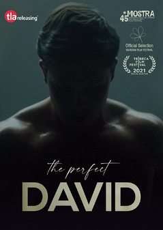 Perfect David, The (DVD)