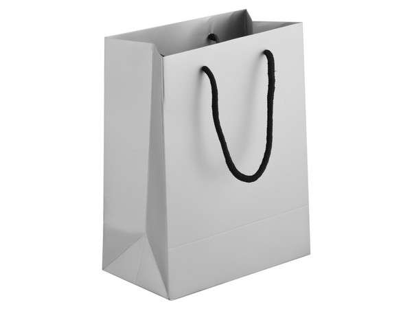 Matte Gift Bag - 23cm - silver (BAG091S-23)