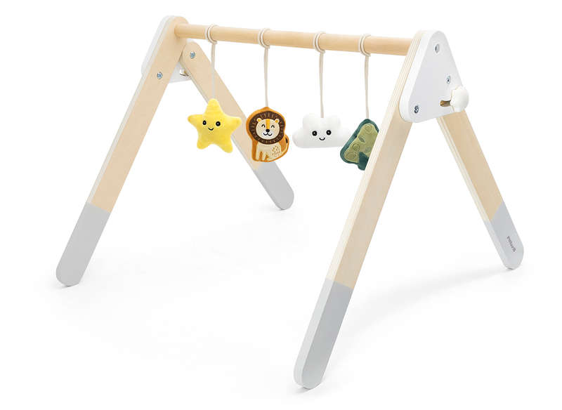 Baby Play Gym (RGS44085)