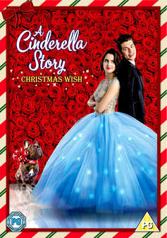 Cinderella Story, A: Christmas Wish (DVD)