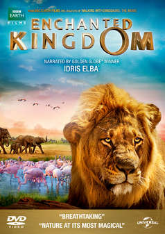 Enchanted Kingdom (DVD)