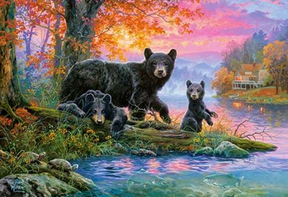 Fishing Spot (1000 Piece Puzzle)