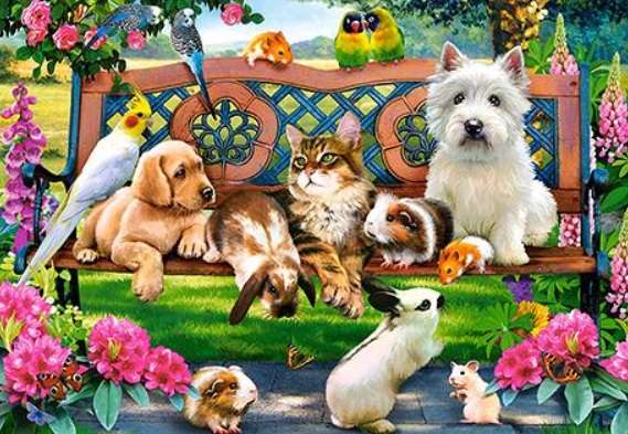 Pets In The Park (1000 Piece Puzzle)