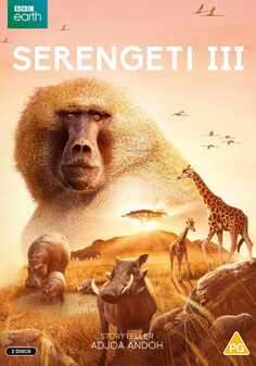 Serengeti 3 (DVD)