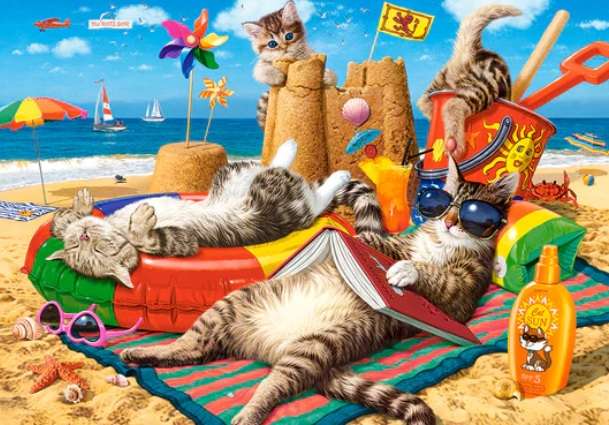 Summer Vibes (1000 Piece Puzzle)