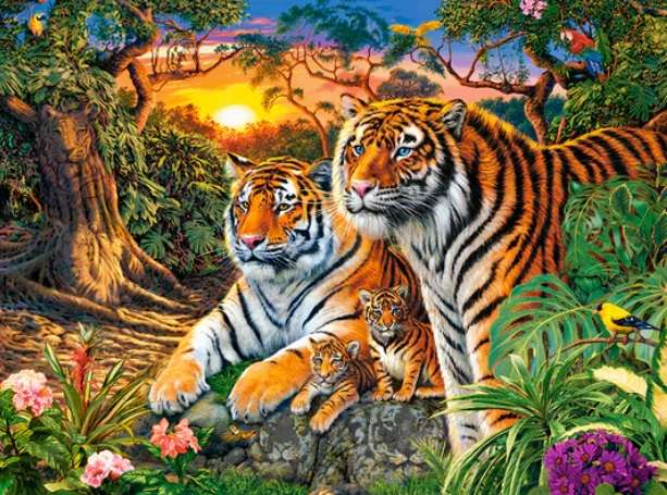 Tiger Family (2000 Piece Puzzle)