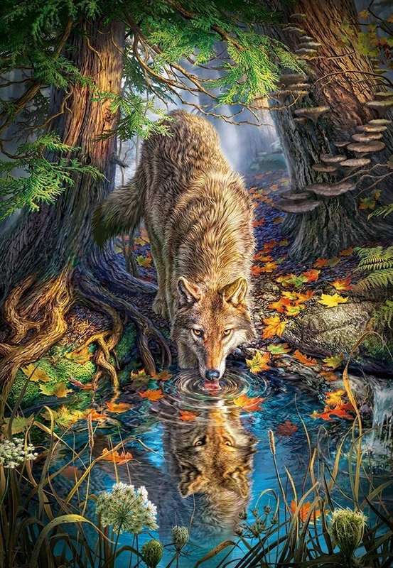Wolf In The Wild (1500 Piece Puzzle)