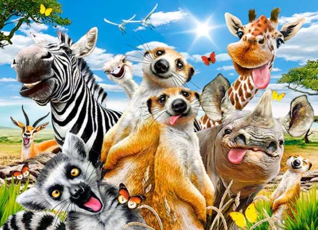 African Selfie (500 Piece Puzzle)