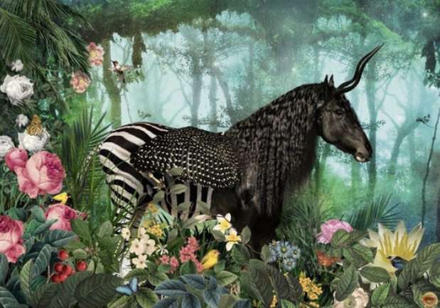 Equpidae (1000 Piece Puzzle)