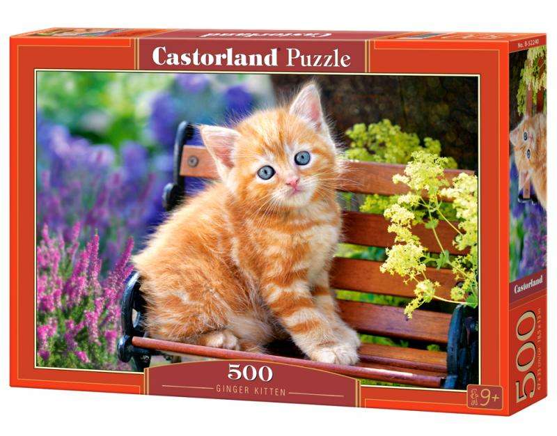 Ginger Kitten (500 Piece Puzzle)