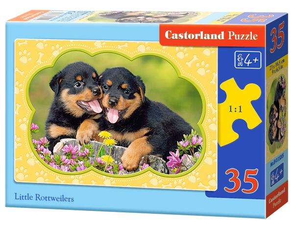 Little Rottweilers (35 Piece Puzzle)