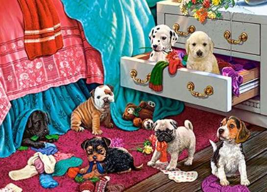 Puppies In The Bedroom (300 Piece Puzzle)