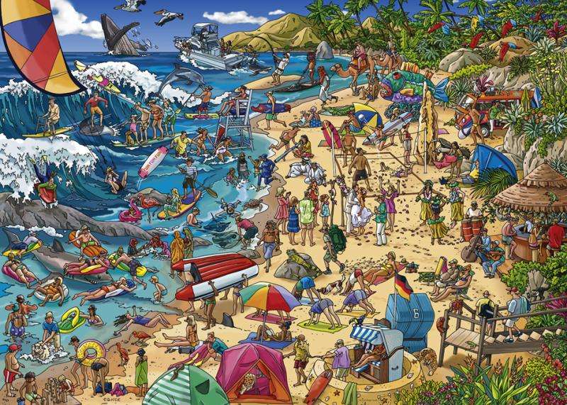 Seashore (1000 Piece Puzzle)