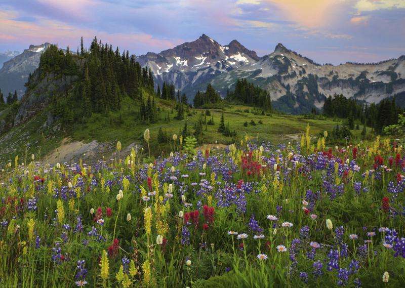 Tatoosh Mountains (2000 Piece Puzzle)