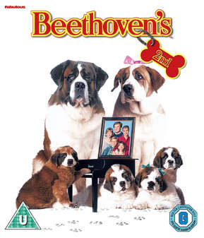 Beethovens 2nd (Charles Grodin) (Blu Ray)
