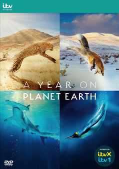 Year On Planet Earth, A (DVD)