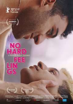 No Hard Feelings (DVD)