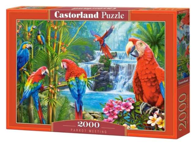 Parrot Meeting (2000 Piece Puzzle)