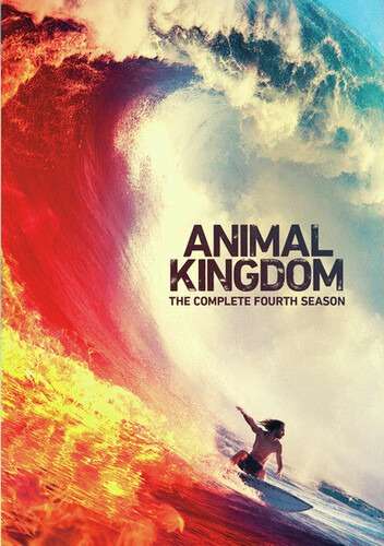 Animal Kingdom - Season 4 (DVD) - REGION 1