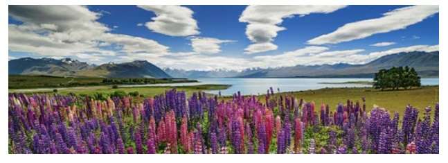 Lake Tekapo (1000 Piece Puzzle)