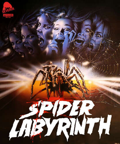 Spider Labyrinth, The (4K Ultra HD)