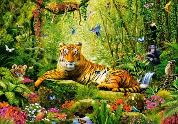 His Majesty, the Tiger (500 Piece Puzzle)