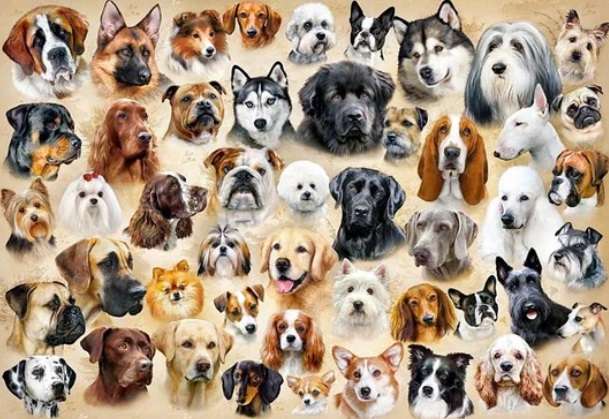 Collage with Dogs (1500 Piece Puzzle)