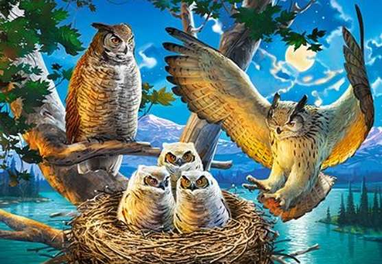 Owl Family (500 Piece Puzzle)