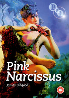 Pink Narcissus (DVD)