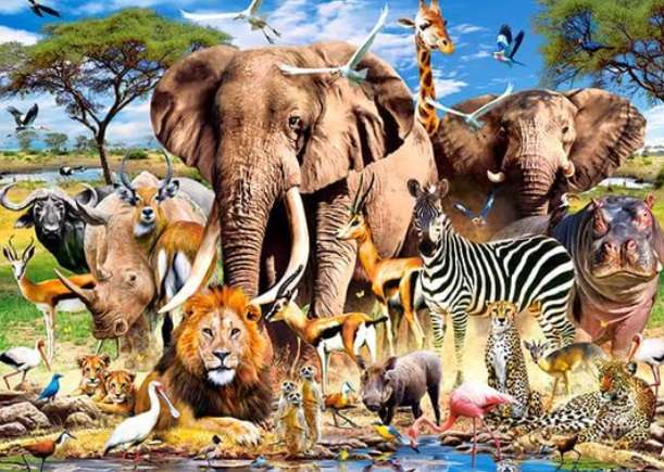Savanna Animals (1500 Piece Puzzle)