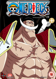 One Piece - Collection 19 (Episodes 446-468) (DVD)