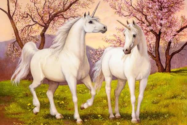Unicorn Love (1000 Piece Puzzle)
