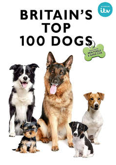 Britains Top 100 Dogs (DVD)