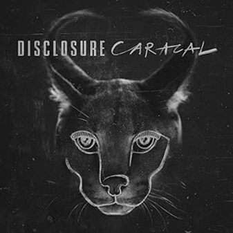 Disclosure: Caracal (CD)