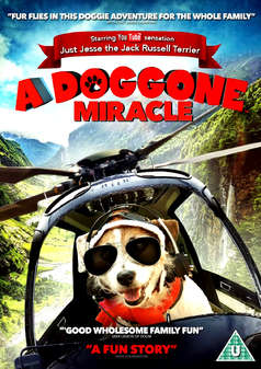 Doggone Miracle, A (Aka A Doggone Hollywood) (DVD)