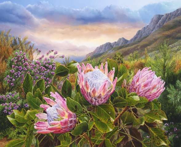 Pink Proteas (1000 Piece Puzzle)