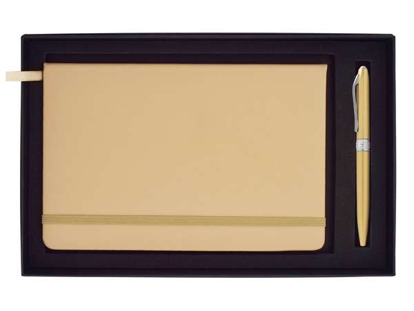Flexi Notebook and Teardrop Pen Set - nude and gold (ST331SetC)
