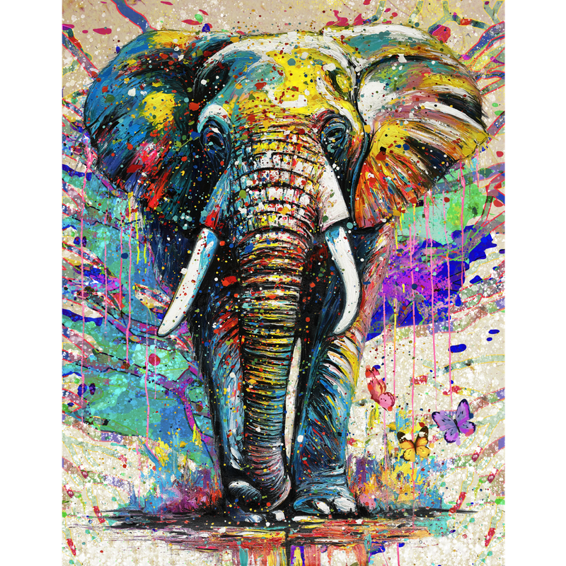Colour Burst (1000 Piece Puzzle)