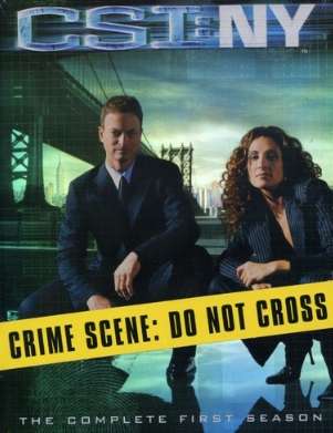 CSI: NY (CSI New York) - Season 1 (DVD) - REGION 1
