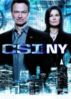 CSI: NY (CSI New York) - Season 9: The Final Season (DVD) - REGION 1