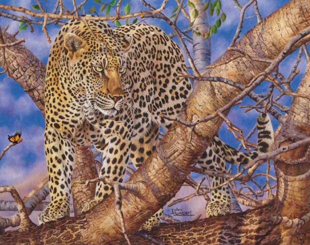 Leopards Gaze (1500 Piece Puzzle) (RGS9332)