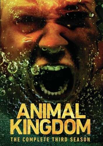 Animal Kingdom - Season 3 (DVD) - REGION 1