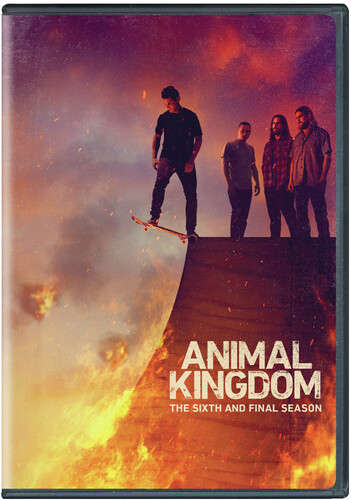Animal Kingdom - Season 6 - The Final Season (DVD) - REGION 1