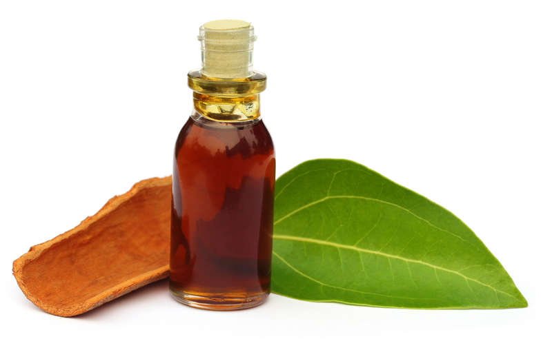 Cassia Essential Oil10 ml (1/3 oz). 100% Pure, Undiluted