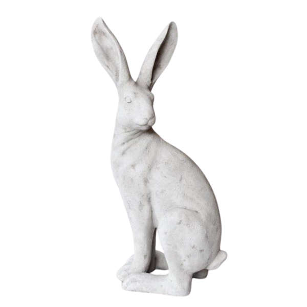 Extra large rabbit